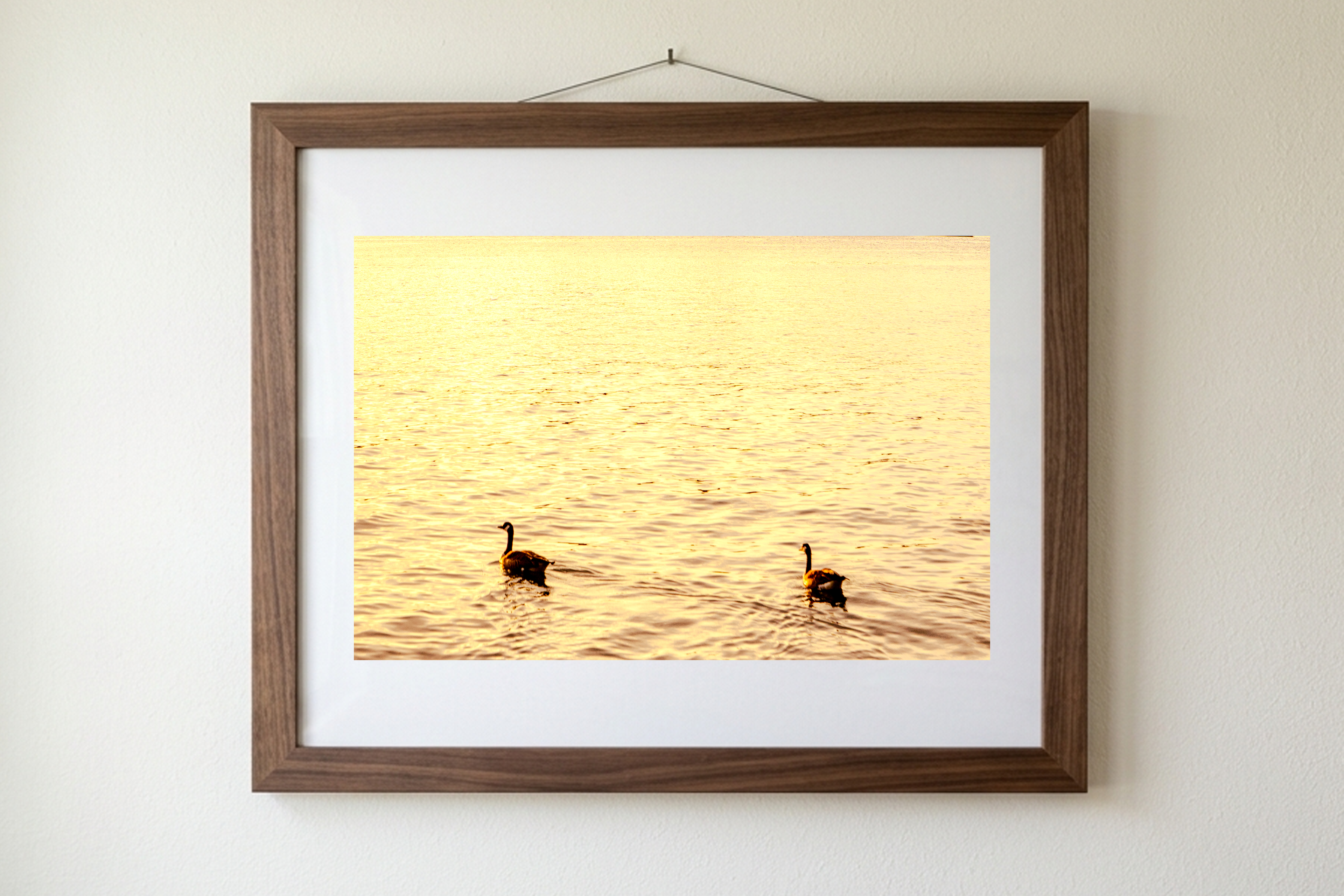 Amber Waters, Silent Pair