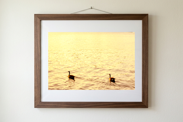 Amber Waters, Silent Pair