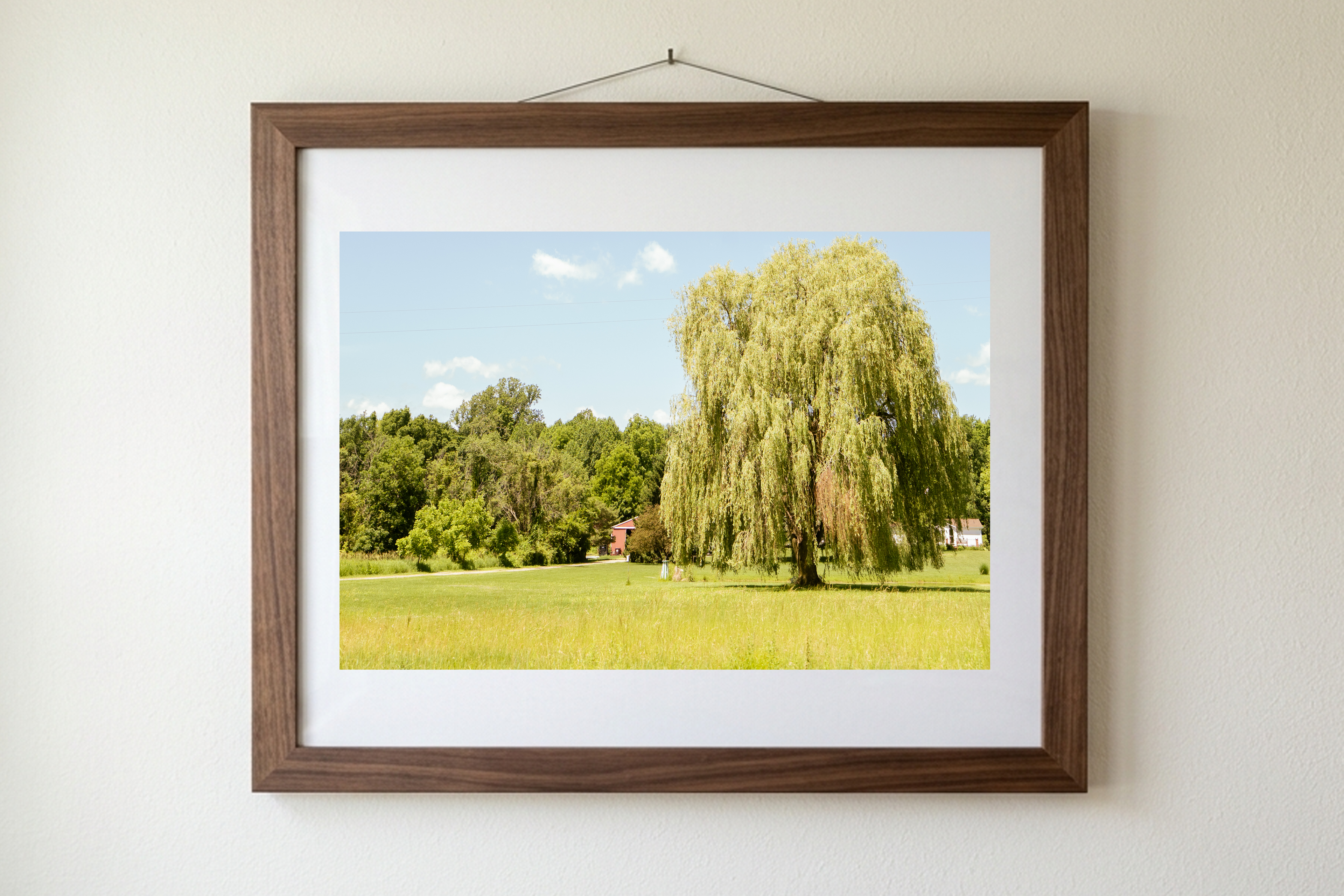 The Weeping Willow